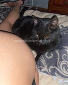 Анкета проститутки Николь - метро Ясенево, возраст - 25